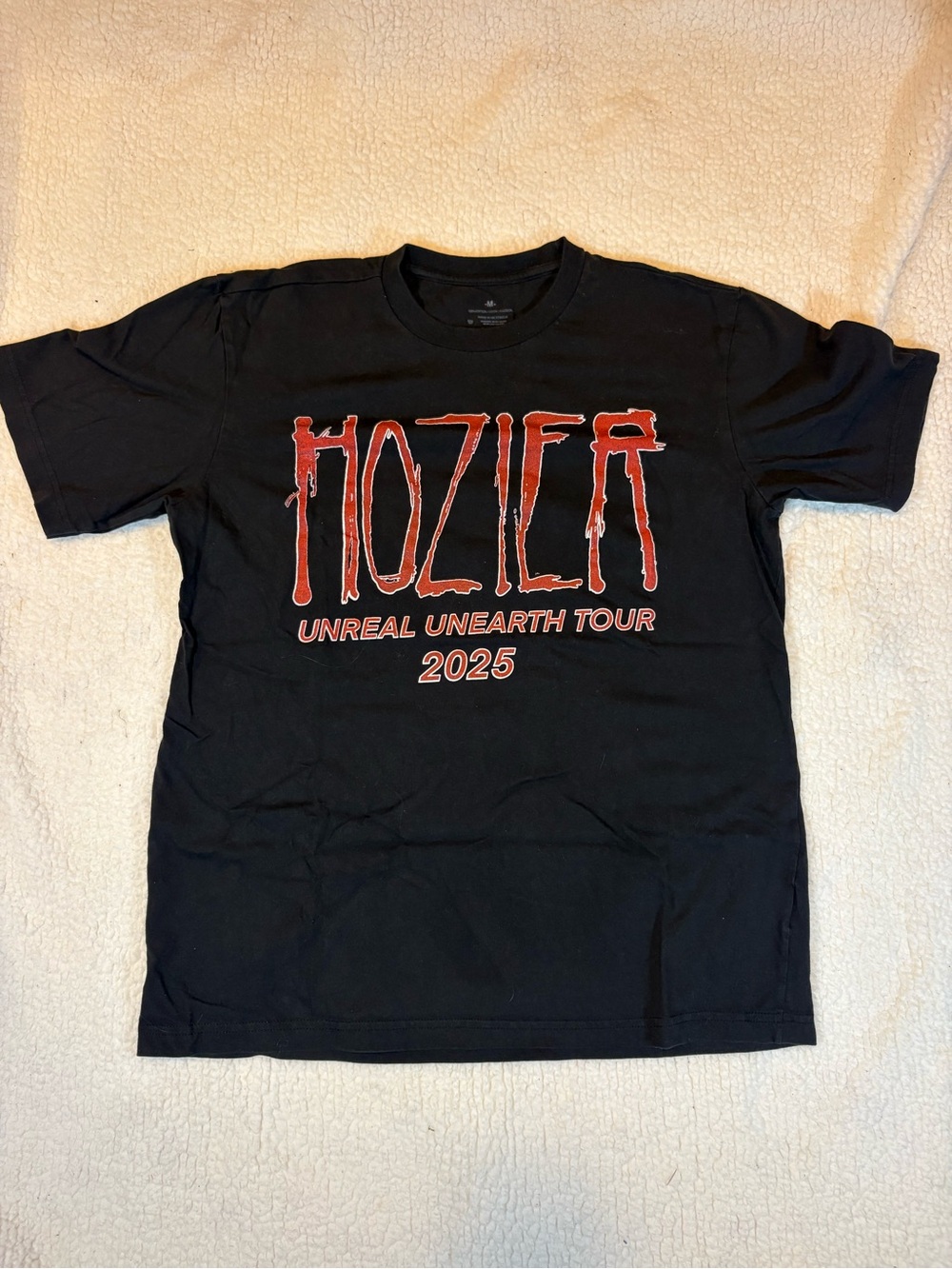 Black HOZIER Unreal Unearth Tour 2025 Adult Graphic Tee